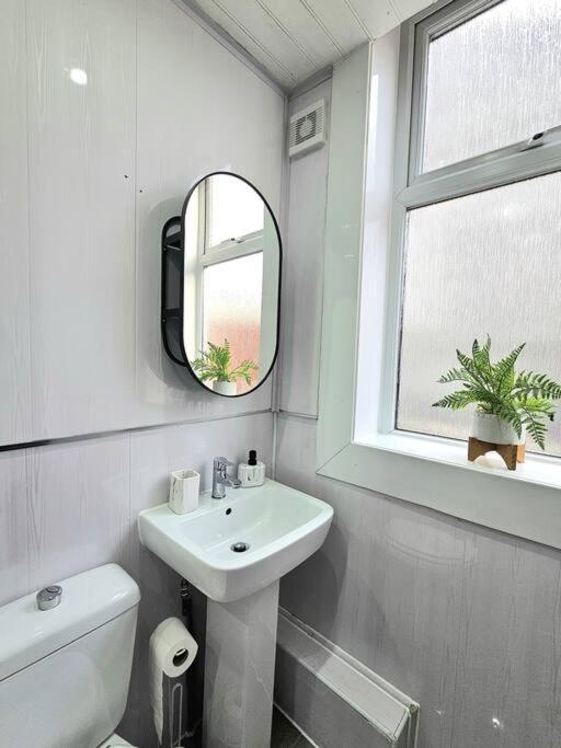Spacious Haven With Free Parking Glasgow Buitenkant foto